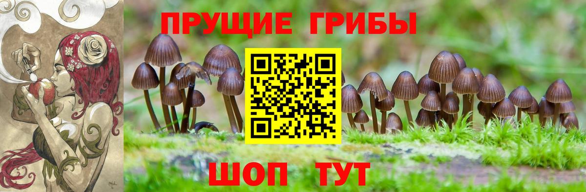 Псилоцибиновые грибы ЛСД  Вход с VPN  Алексеевка  Псилоцибиновые грибы GOLDEN TEACHER 
